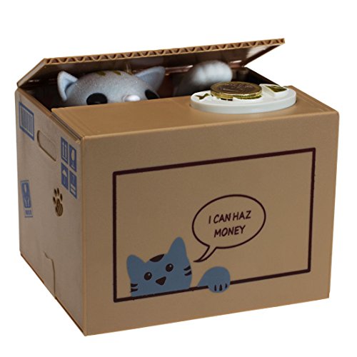 Getdigital 10973 Cat Litter Cat In A Box Gift Cat Desertcart INDIA