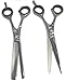 Male Grooming Moustache Beard Trimming, Cutting Thinning Scissors BS 6.0'' Set Sandbros