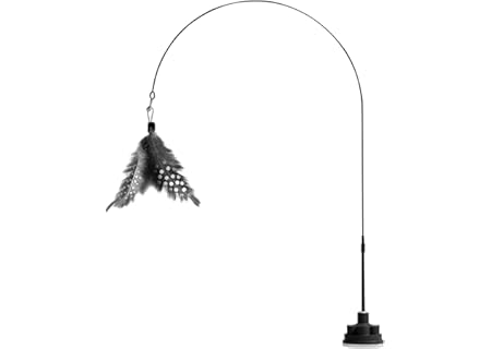 Interaktiv katt-teaserstav för kattunge teaser för träning lek med klocka och stark sugkopp, robust - Amazon Deal & Rabatt