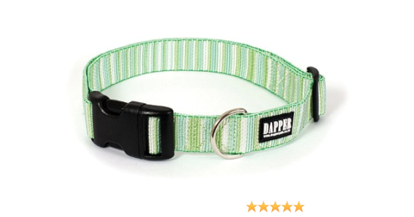 designer dog collar uk