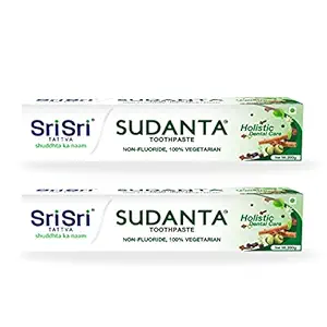 Sri Sri Tattva Sudanta Herbal Toothpaste - All Natural, Fluoride Free Tooth Paste with Cloves, Cinnamon, Bakul & More - 200g (Pack of 2), for Kids and Adults