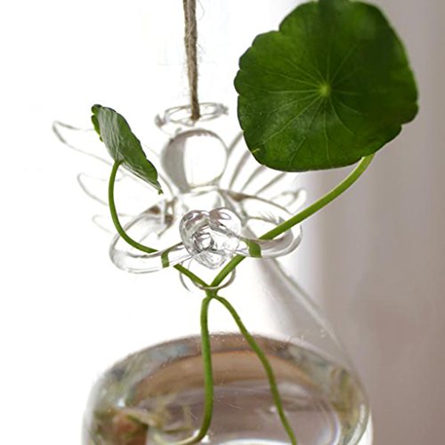 MagiDeal Engel Klar Glaswand Hängen Vase Glasvase Flasche Für Pflanzenblumendekorationen 12cm - 5