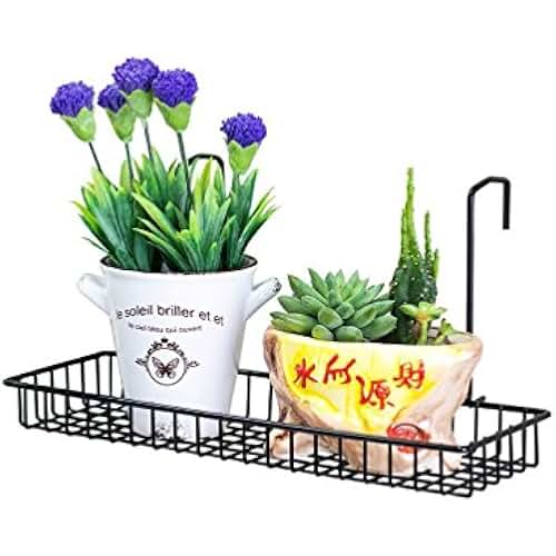 Suchergebnis auf Amazon.de für: regale für terrasse