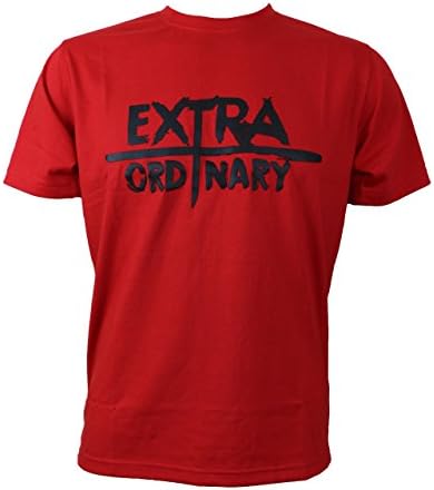 BTS Extra + Ordinary T-Shirt (Large)
