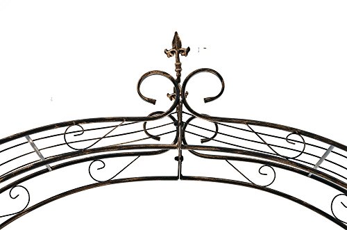 CLP Rosenbogen SUN Eisen pulverbeschichtet ( Metall ) Breite 160, Tiefe 35 cm, Höhe 260 cm bronze - 3