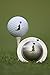 Produktbild TIN CUP. GOLF BALL MARKER SYSTEM. HOWL AT THE MOON.