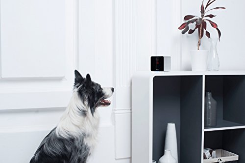 Petcube-Interactive-Wi-Fi-Pet-Camera