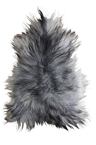 Fellhof Islandfell - Piel de Cordero (100-110 cm), Color Gris
