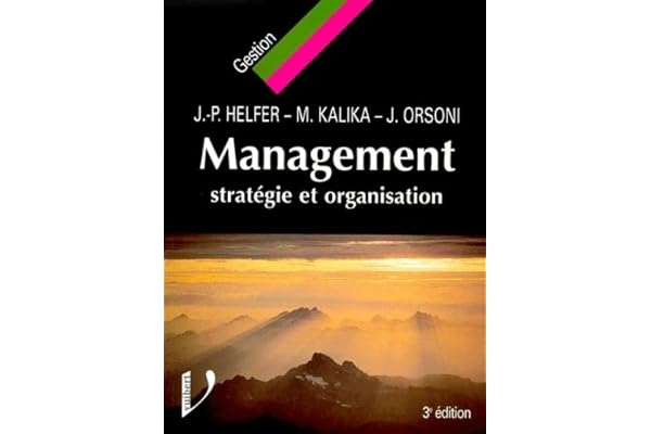 Management : Stratégie et organisation