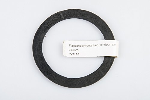 Preisvergleich Produktbild Provence Outillage 06710 Flachdichtung für Handpumpe aus Gusseisen schwarz