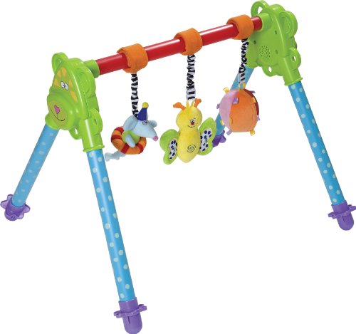 Taf Toys Junior Gym