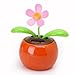 Produktbild TOOGOO(R) Schlagklappe solarbetriebene Blume Blumentopf Swing Dancing Zeugneuheit Startseite Ornament - Orange