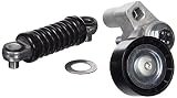 alternador berlingo 1.9 d 2004 Diámetro interior [mm] : 25,5