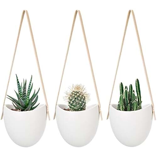 blumenampel kaufen amazon