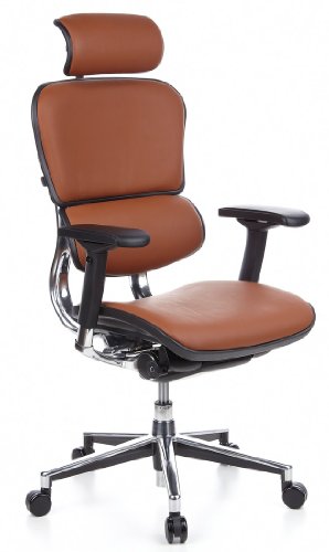 hjh OFFICE 652250 Brostuhl Chefsessel ERGOHUMAN Leder, braun, individuelle Einstellmglichkeiten, hhenverstellbare Rckenlehne, Drehstuhl ergonomisch, verstellbare Armlehnen, Schreibtischstuhl hjh OFFICE 652250 Brostuhl Chefsessel ERGOHUMAN Leder, braun, individuelle Einstellmglichkeiten, hhenverstellbare Rckenlehne, Drehstuhl ergonomisch, verstellbare Armlehnen, Schreibtischstuhl