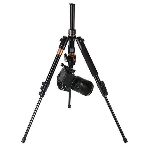XCSOURCE Q555 Tr pied Monopode T te Sph rique Photographie et Rotule Professional Portable Aluminium en Alliage Magn sium pour DSLR cam ra DV Canon Nikon Pentax Sony Tr pied Hauteur Max 55 9 la charge max 8KG LF393 reviews XCSOURCE Q555 Tr pied Monopode T te Sph rique Photographie et Rotule Professional Portable Aluminium en Alliage Magn sium pour DSLR cam ra DV Canon Nikon Pentax Sony Tr pied Hauteur Max 55 9 la charge max 8KG LF393