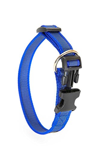JULIUS-K9-Color-Gray-Collar