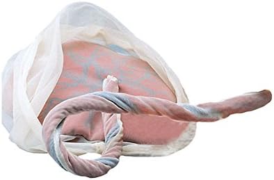 Placenta and Trendy Line Model Fruit Bubble Urologie Baby
