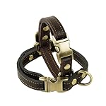 Rantow-regolabile-Durevole-confortevole-collare-di-cuoio-di-base-per-Puppy-Gatti-cani-di-piccola-taglia-collo-di-misura-adattabile-da-95-pollici-a-13-pollici-e-06-pollici-Wide-nero