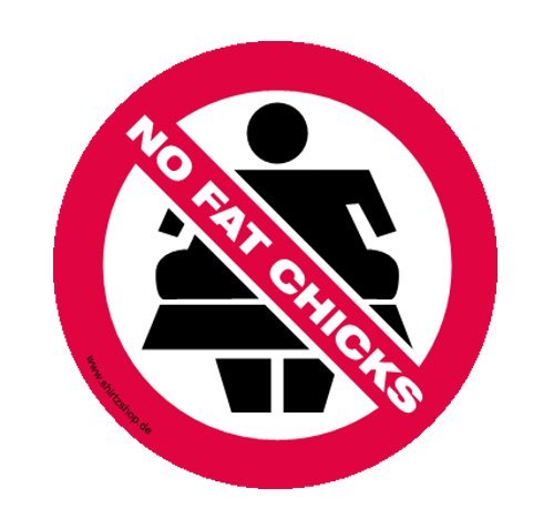 No fat chicks - keine dicken Mädels Aufkleber Autoaufkleber Sticker Vinylaufkleber Decal