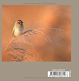 Image de L'agenda des oiseaux 2016