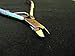 Pathfinder Technologies ® New Professional TITANIUM CUTICLE nippers / clippers / scissors