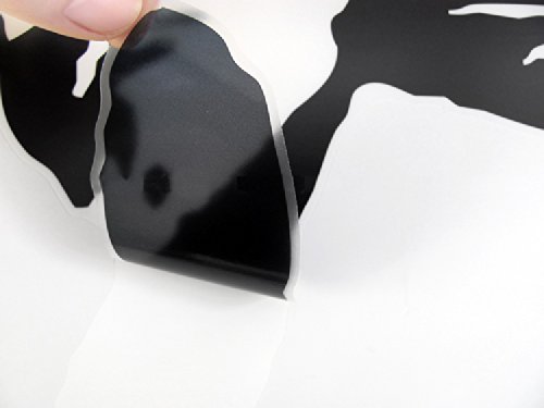 FiveSeasonStuff ® Wandaufkleber / Wandbilder Aufkleber Zebra-und Vogelnest Edition für Home Decor / Raumdekoration / Wandtattoo / Wanddekoration / Wall Art Stickers / Wall Decals / Wall Decoration Zebra Edition WS1 - 9