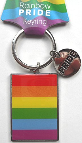 Preisvergleich Produktbild Rainbow Pride Schlüsselanhänger aus Metall mit Disc. Gay Pride Flagge