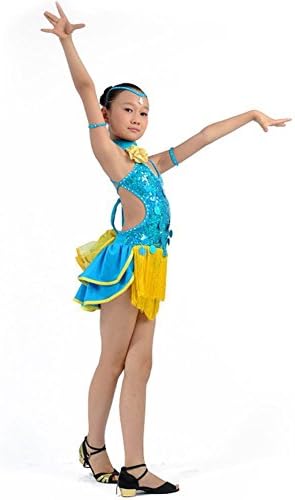 Byjia Children Latin Dance Costume One-Pieces Dresses Girls Fringed Tassel Troupe Performance Carry Practice Kids Stage . Blue . 110Cm