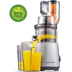 Extracteur de Jus AMZCHEF Extracteur à Jus de Fruits et Légumes Grande Vertical Presse à Froid à Pression Lente avec Fonction Inverse&Moteur Silencieux Jus Tasse|Brosse Sans BPA 240W