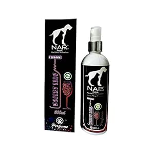 black dog perfume