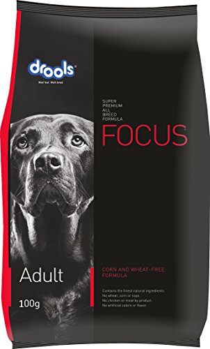 Drools Focus Adult Dog Food, 100 g