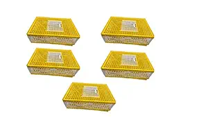 Polylite Plastic Cage Pack of 5 pcs
