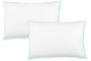 Bestlivings Wypełnienie poduszki 40 x 60 poduszka dekoracyjna poliester Premium, 2 sztuki w opakowaniu