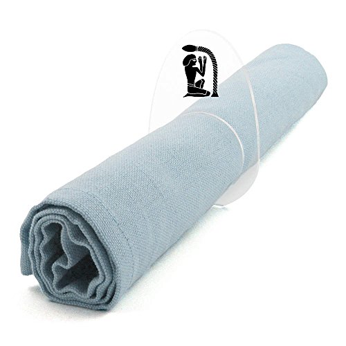 Azeeda 5 x 'Egyptian Hieroglyphic' Clear Acrylic Napkin Rings / Holders (NR00031997)