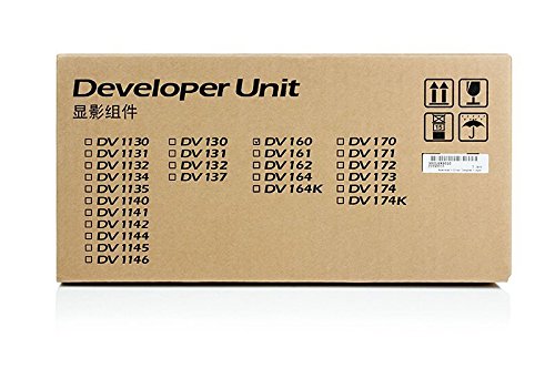 Preisvergleich Produktbild Kyocera DV-160(E), 302LY93010
