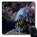 Produktbild Luancrop Mousepads Rote Ohr-Schieber-Schildkröte, die Natur-Zoo-längliches Spiel-Mausunterlage-rutschfeste Gummimatte der wild lebenden Tiere Sich aalt