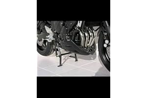 FECHTER DRIVE MOTORSPORT GMBH BODYSTYLE Bugspoiler kompatibel mit YAMAHA FZ6 2007-2008 RJ14