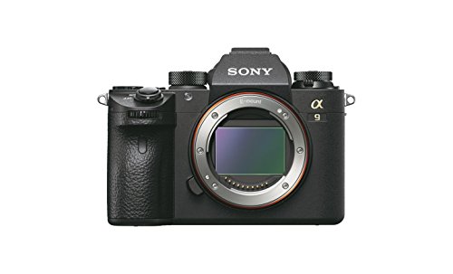 Price comparison product image Sony Alpha A9 Body