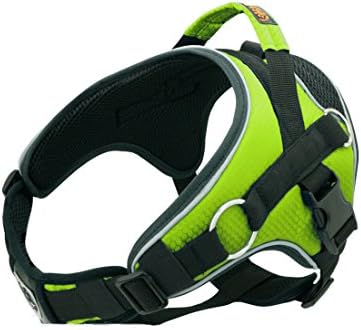 Pet Chest Straps Dog SuppliesTraction Panda Non-Pull So Retractable Protect dog (M, Green)