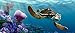 Produktbild 1art1 77442 Findet Nemo - Nemo, Dorie Und Crush Fototapete Poster-Tapete 202 x 90 cm