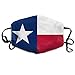 Produktbild Fashion Outdoor Reusable Mouth Mask, Face Masks with Design, Dustproof Masks Texas State Flag Anti Pollen Allergy Mask for Outdoor Activities