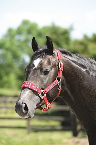 Cottage-Craft-Candy-Stripe-Head-Collar