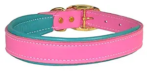 Perri's DC100 Padded Leather Dog Collar, X-Small, Pink/Turquoise