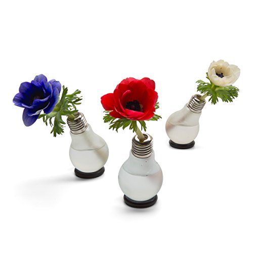 Blühbirne – Glühbirnenvase - 3