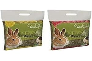 VADIGRAN VADIBED FIENO DENTE DI LEONE 500GR