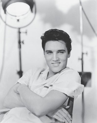 Elvis livre