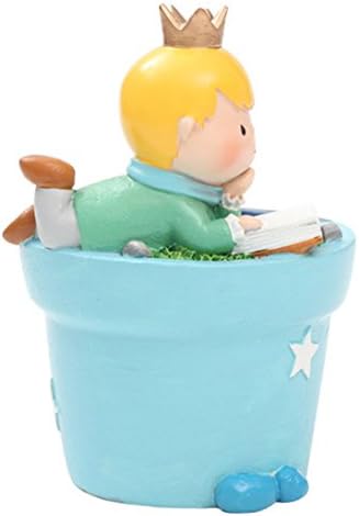 Garden Little Prince Creative Succulent Plants Decorative Flower Pot Cactus Plant Pot Mini Bonsai Pot (A)