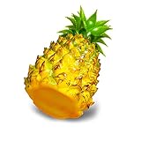 PREMIUM MATERIAL: Aus hochwertigem Kunststoff, ungiftig, umweltfreundlich. Geringes Gewicht und lange Lebensdauer.