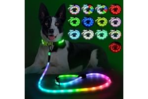 YFbrite wasserdichte Hundeleine mit Beleuchtung und 15 Blinkmodi – Superhelle LED-Hundeleine für kleine, mittelgroße und große Hunde – Wiederaufladbare Hundeleinen Typ C mit Licht (6ft（180cm）)